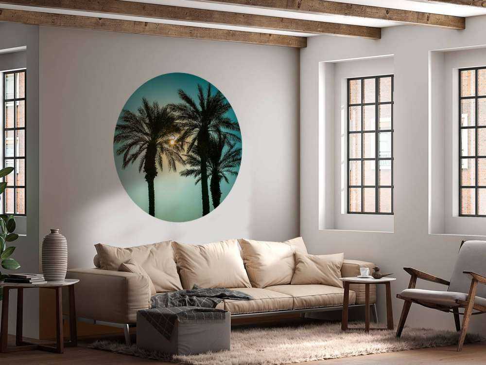 Silhouette of palm trees