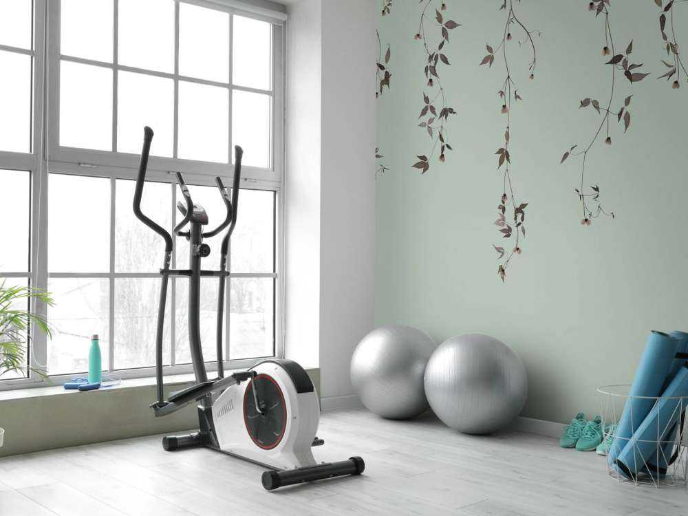 Clematis twigs on gray green