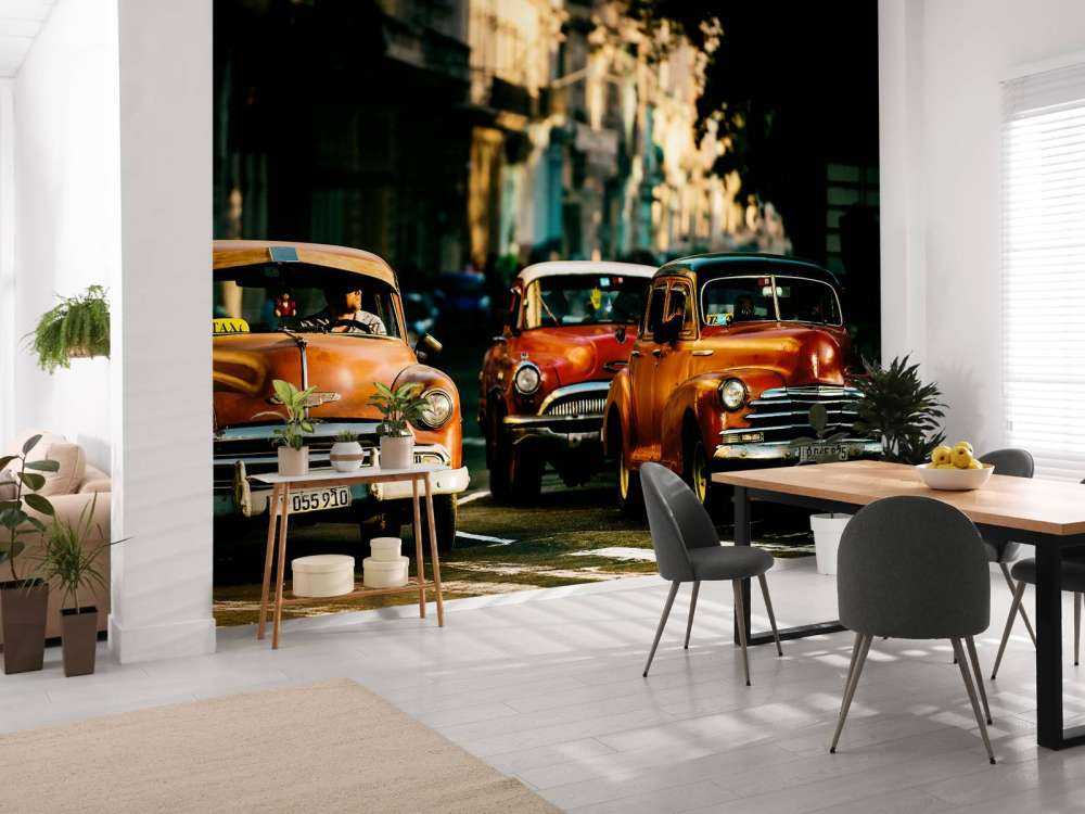 Come with me in the morning light