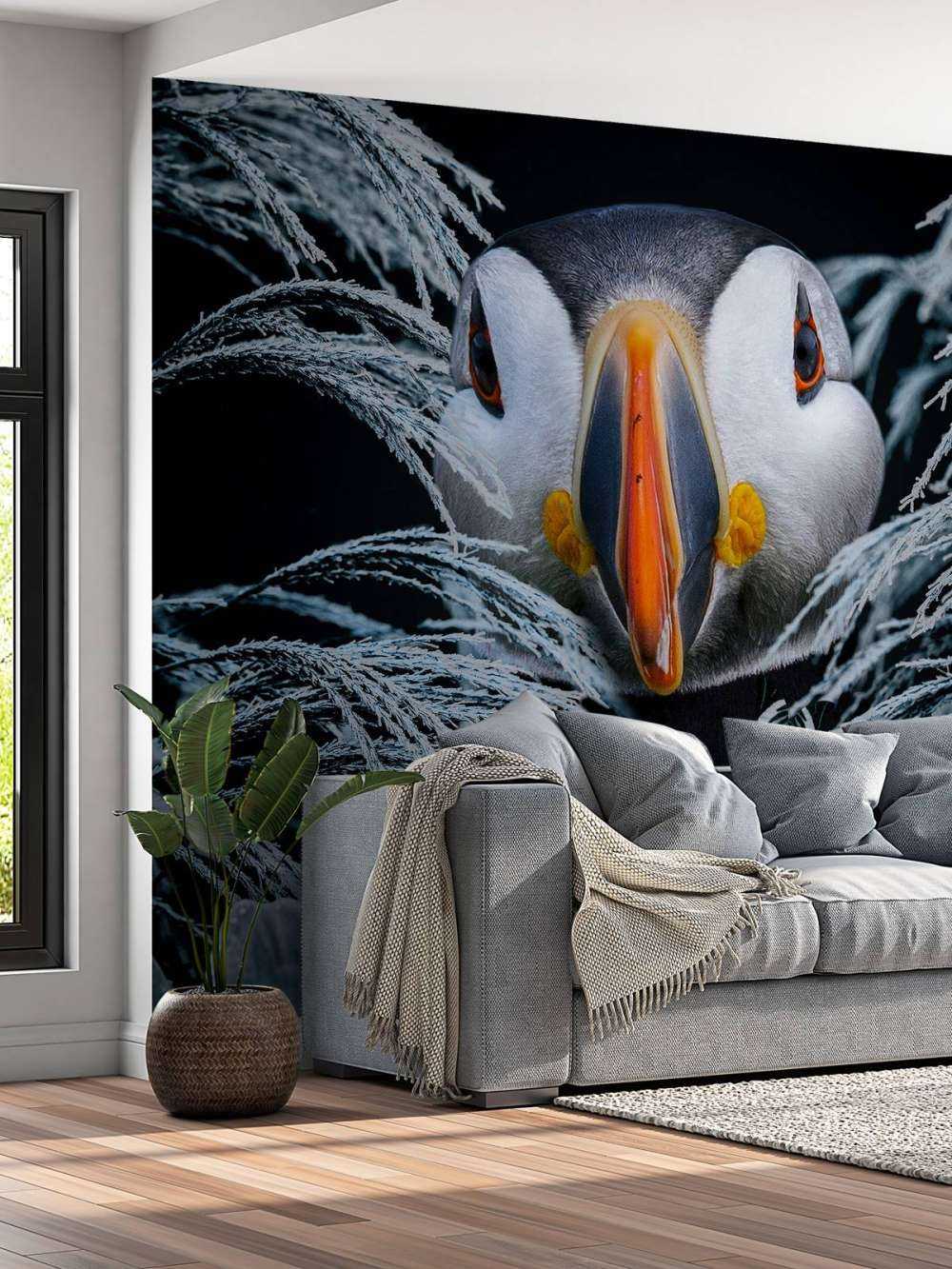 Atlantic Puffins Portrait