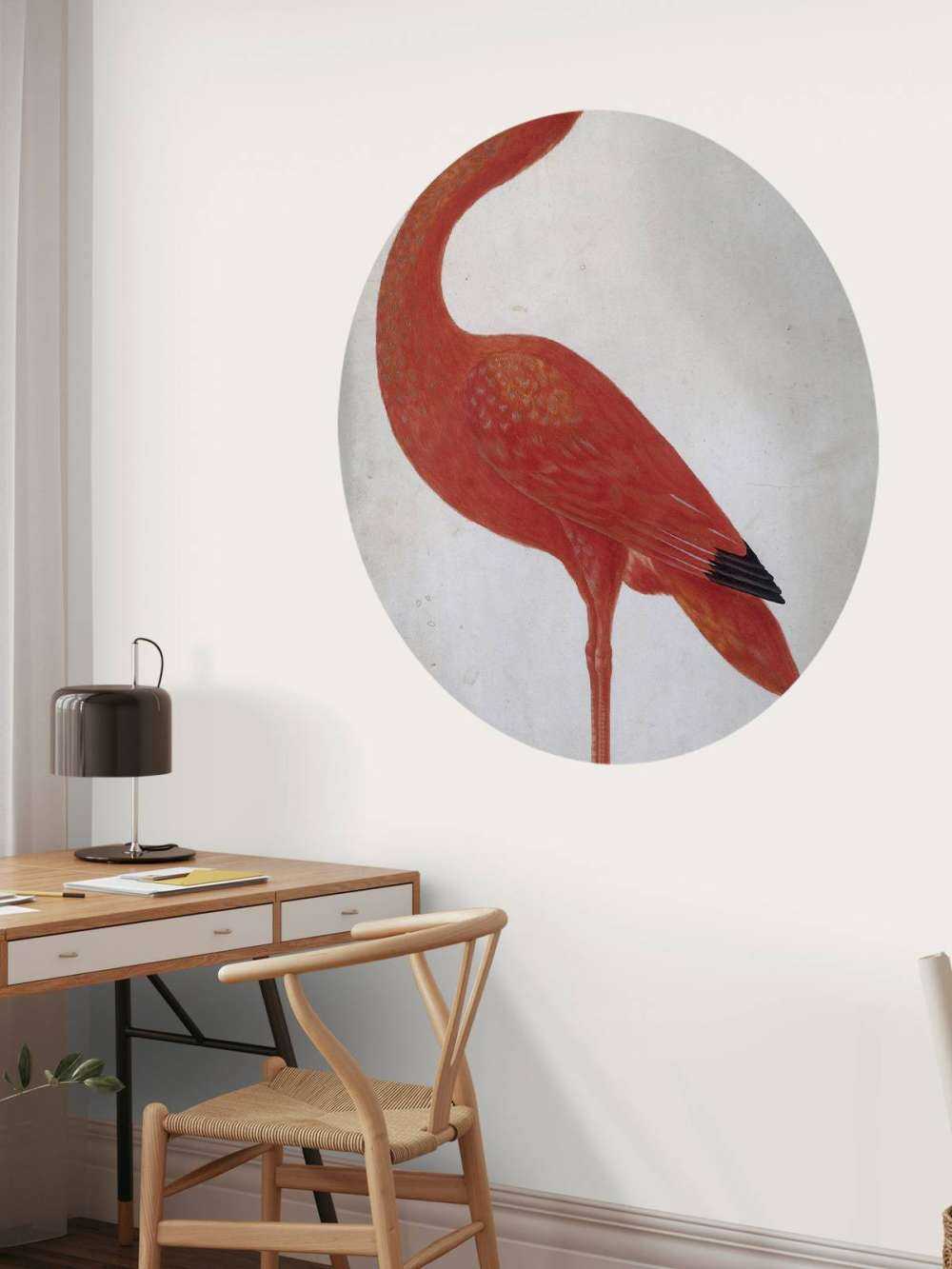 Red Ibis with an egg