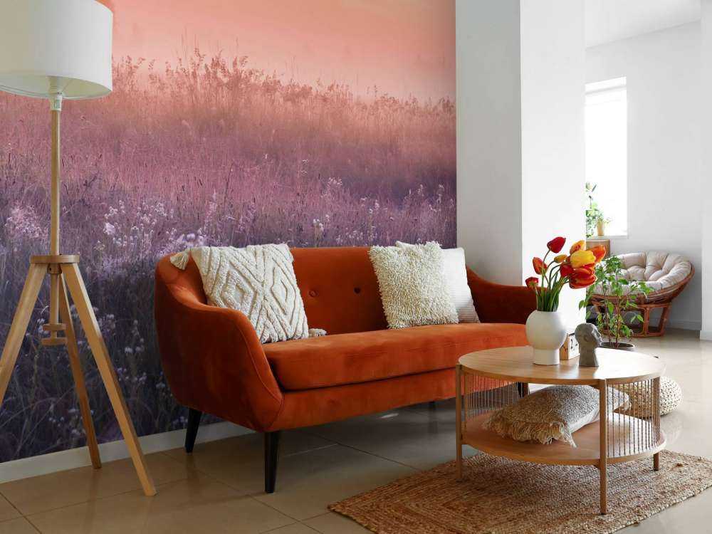 Field with morning mist