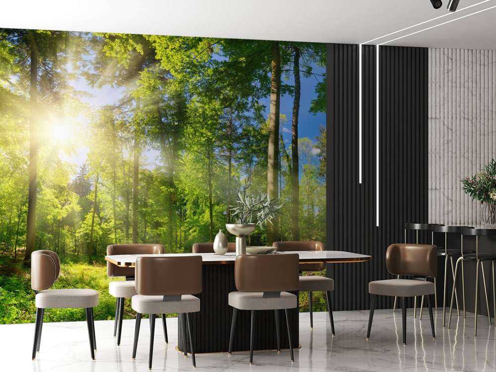 Forest with sunbeams