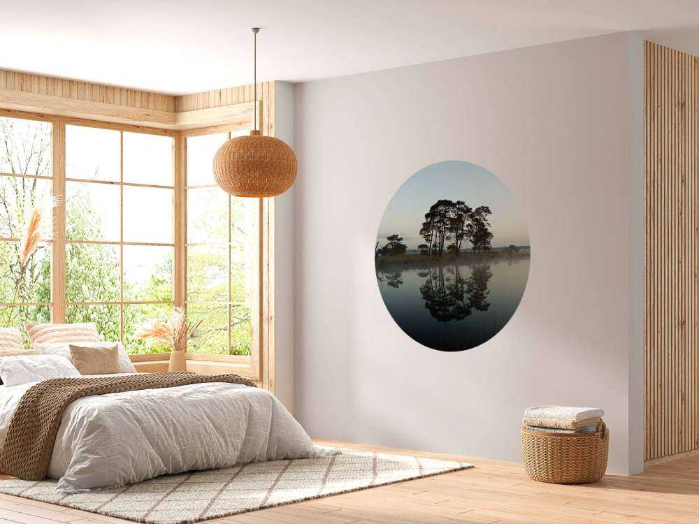 Trees along woodlands