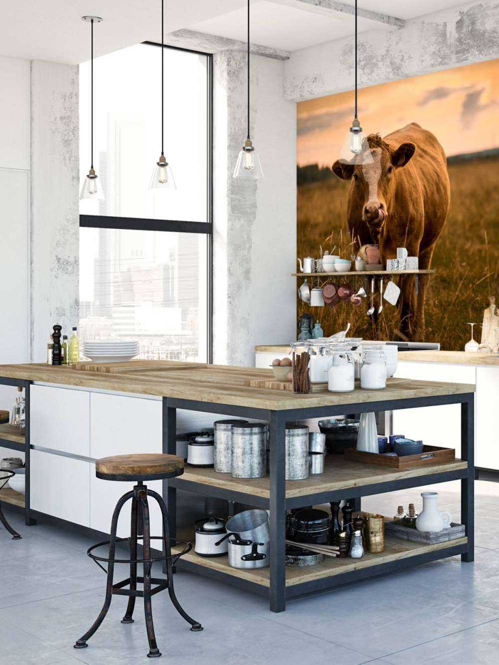 Cow with tongue in nose