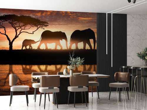 Elephants in savannah