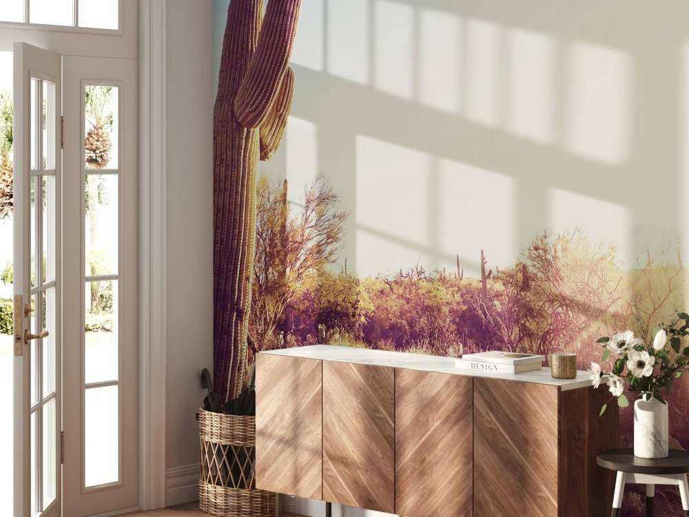 Cactus in the desert