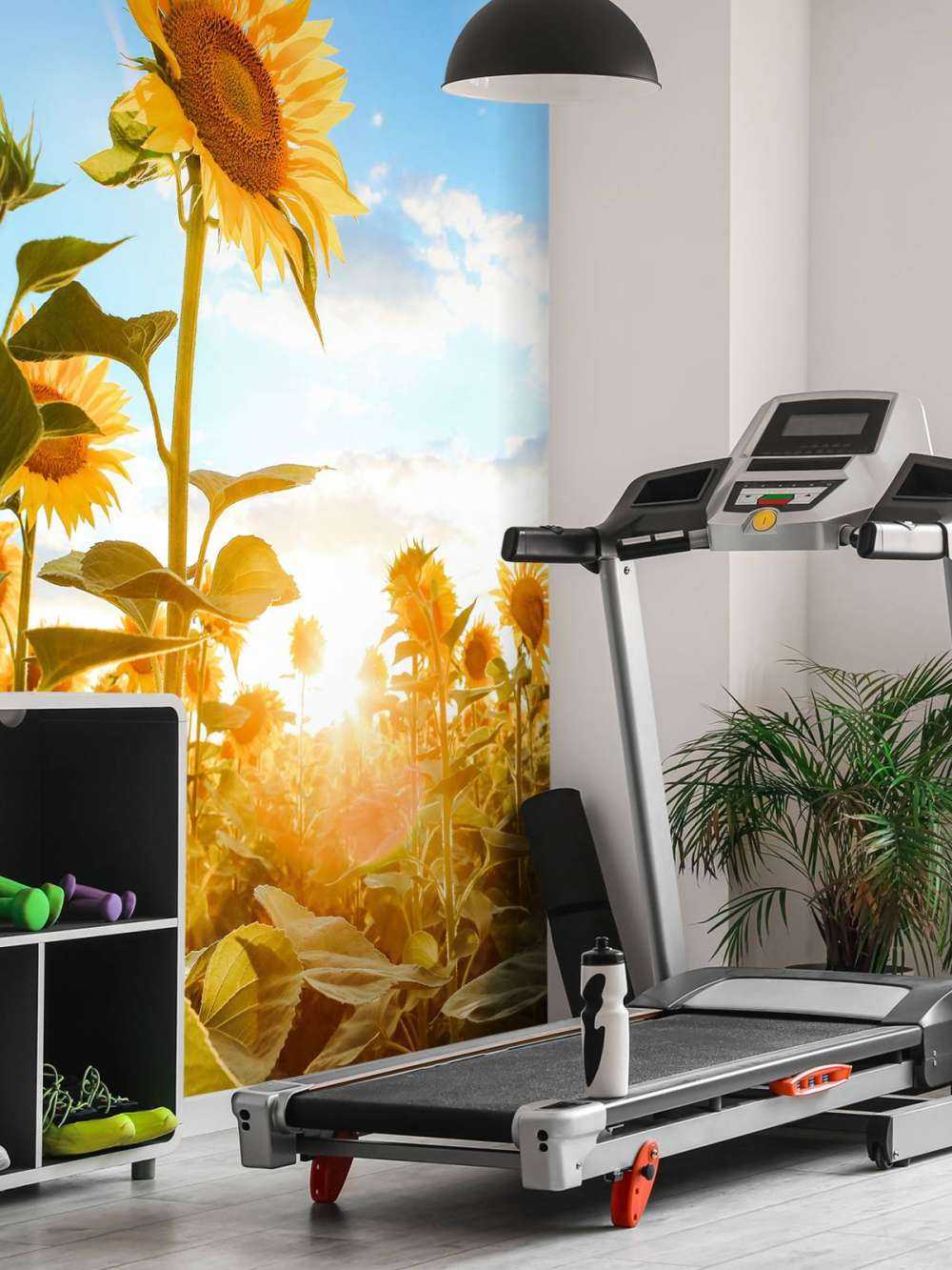 Sunflower with blue sky