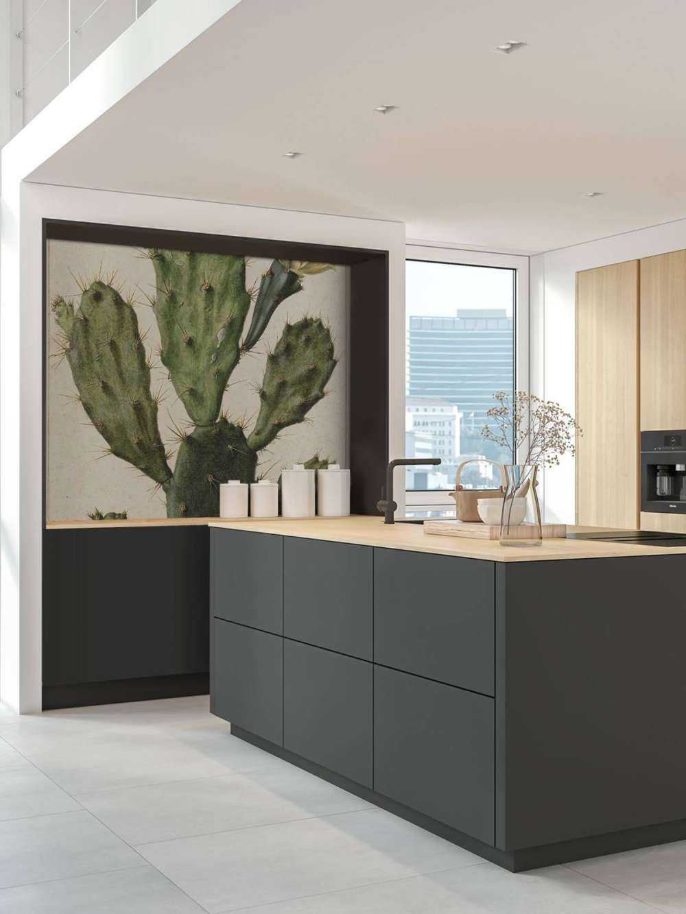 Flowering fig cactus