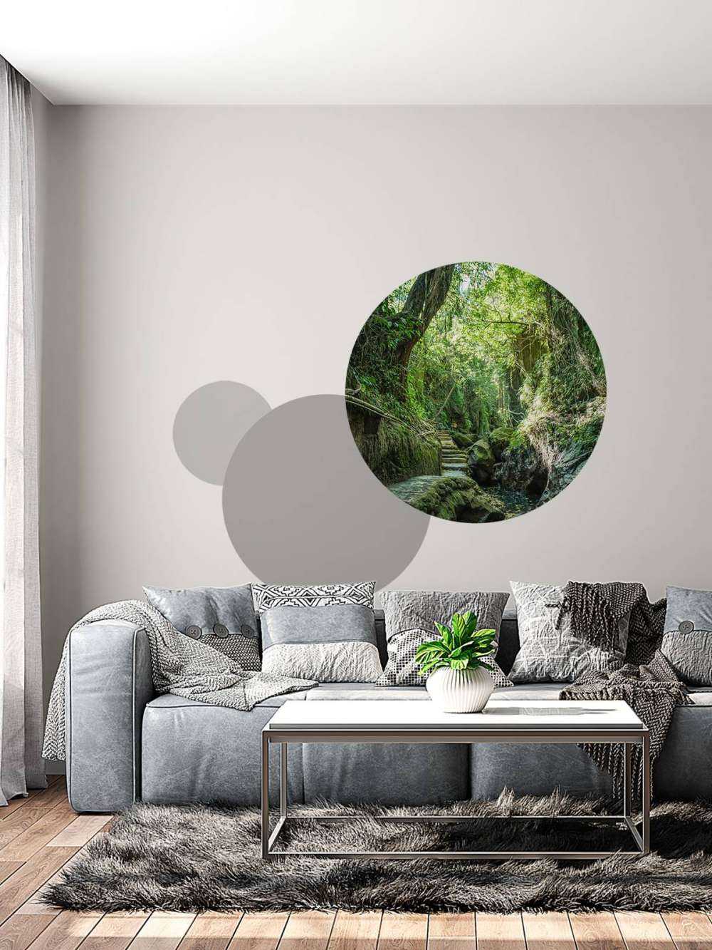 Path through the jungle