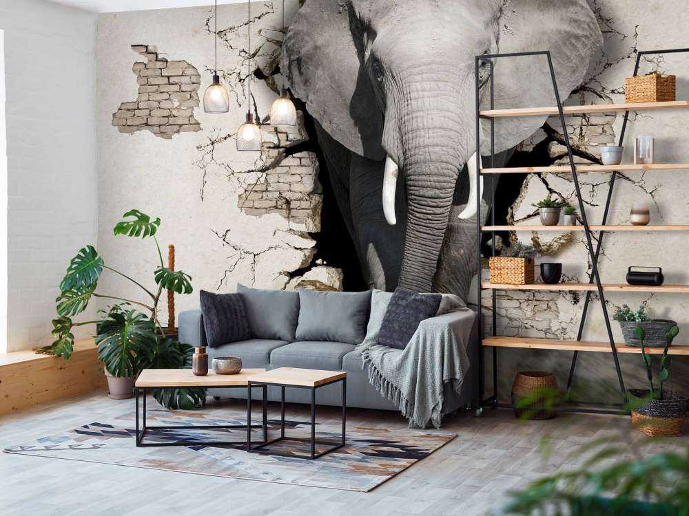 3D Elephant from the wall