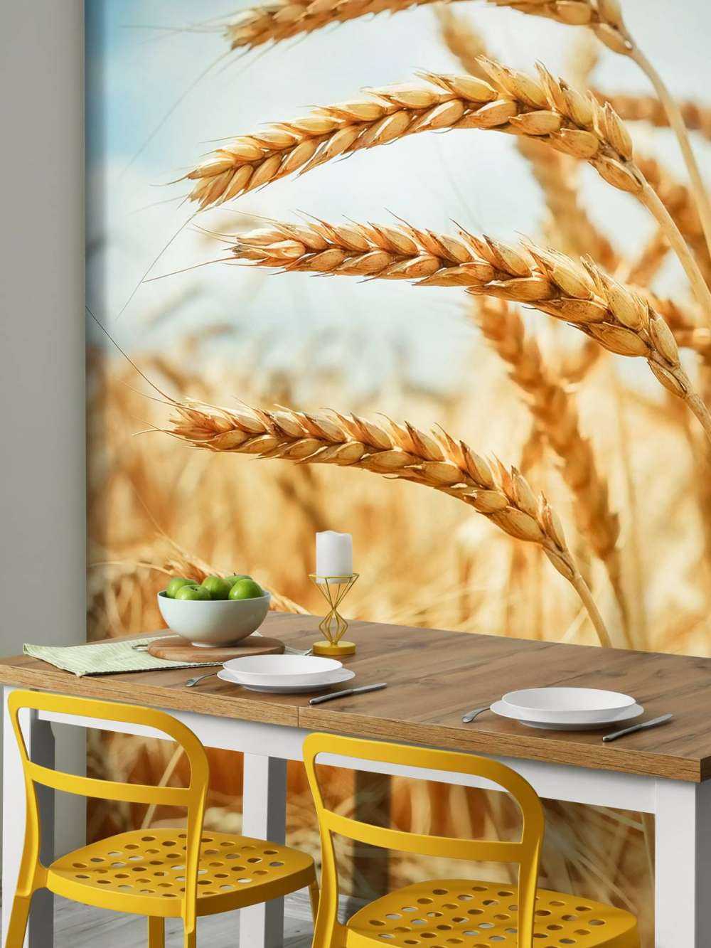 Close up of a cereal plant