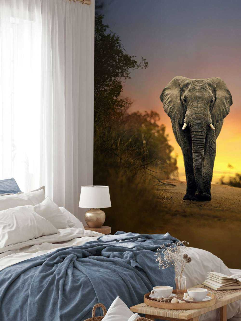 Elephant in the sunset