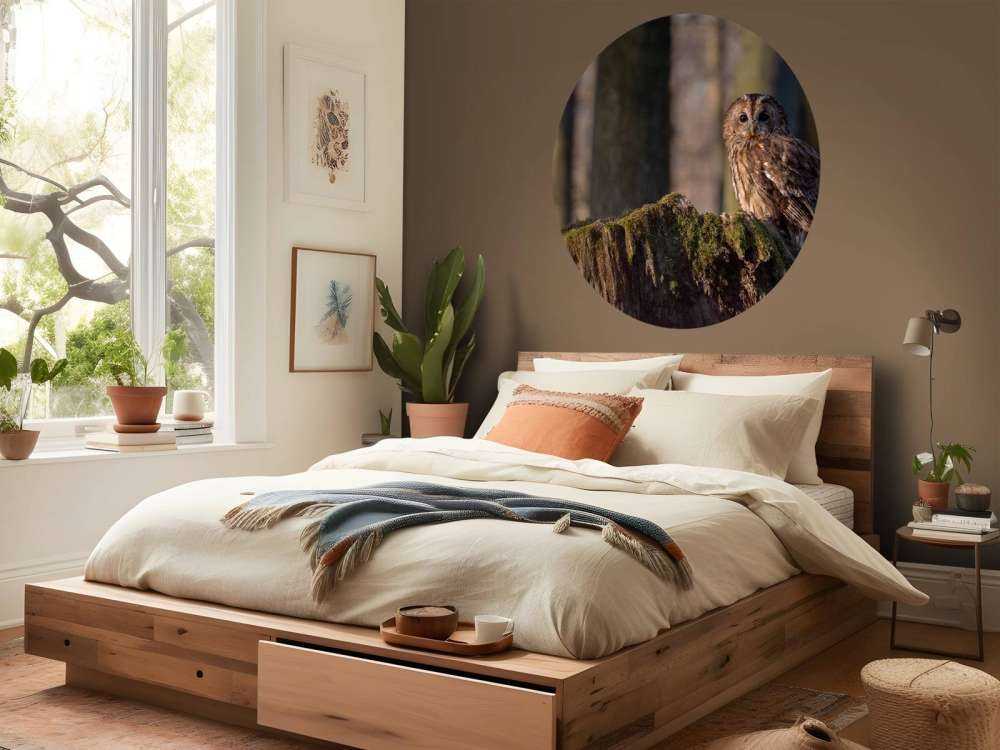 Little owl on a broken tree