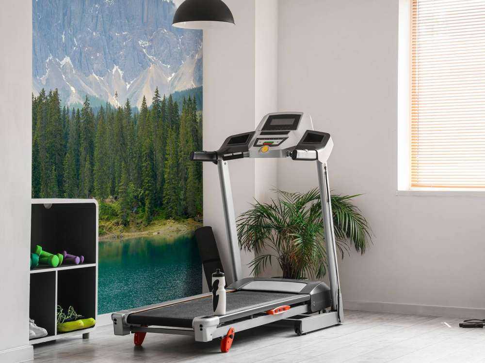 Tree line at mountain lake