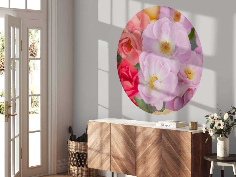 Colorful flowers