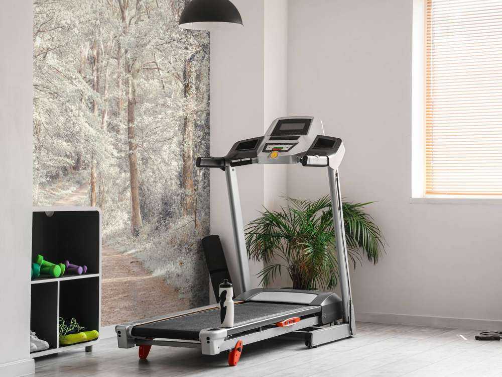 A path through a green forest