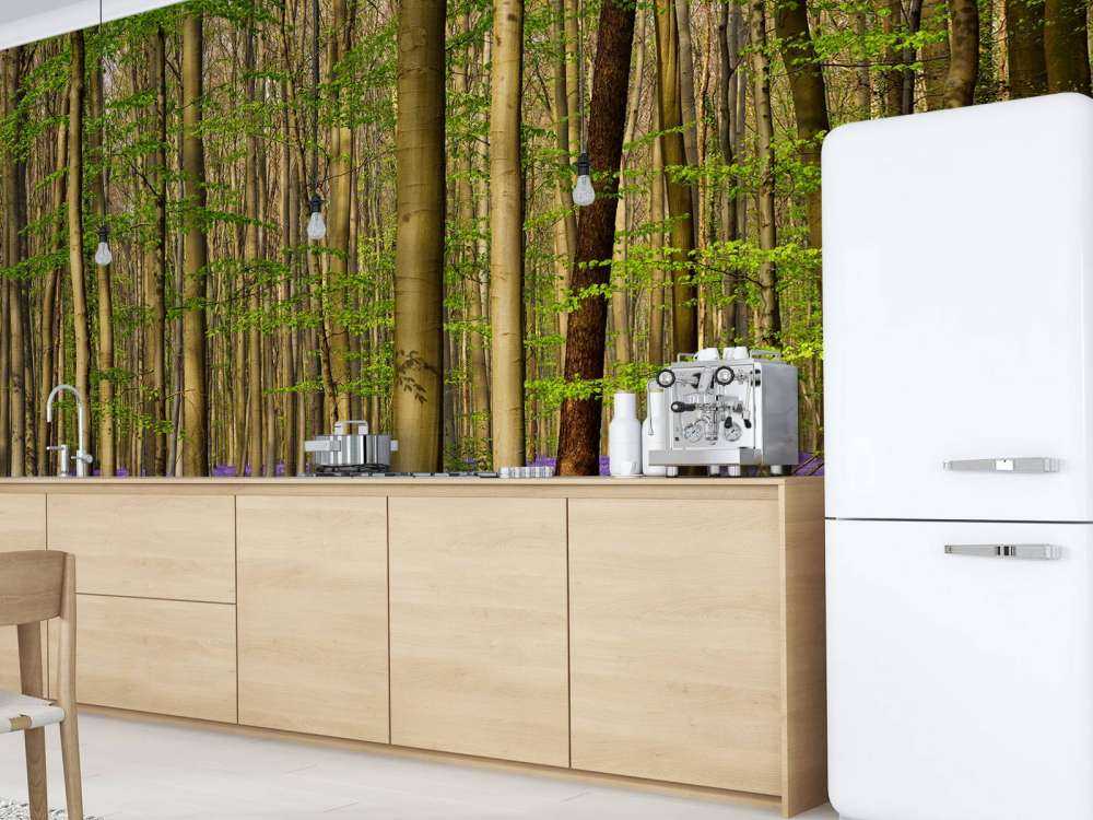 Forest with woodland hyacinths