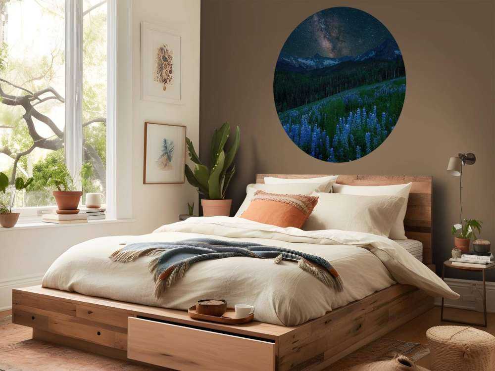 Milky Way over Lupine Slope