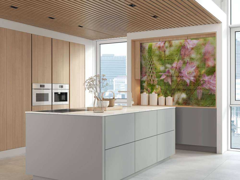 Colorful Aquilegia flowers on plants in garden