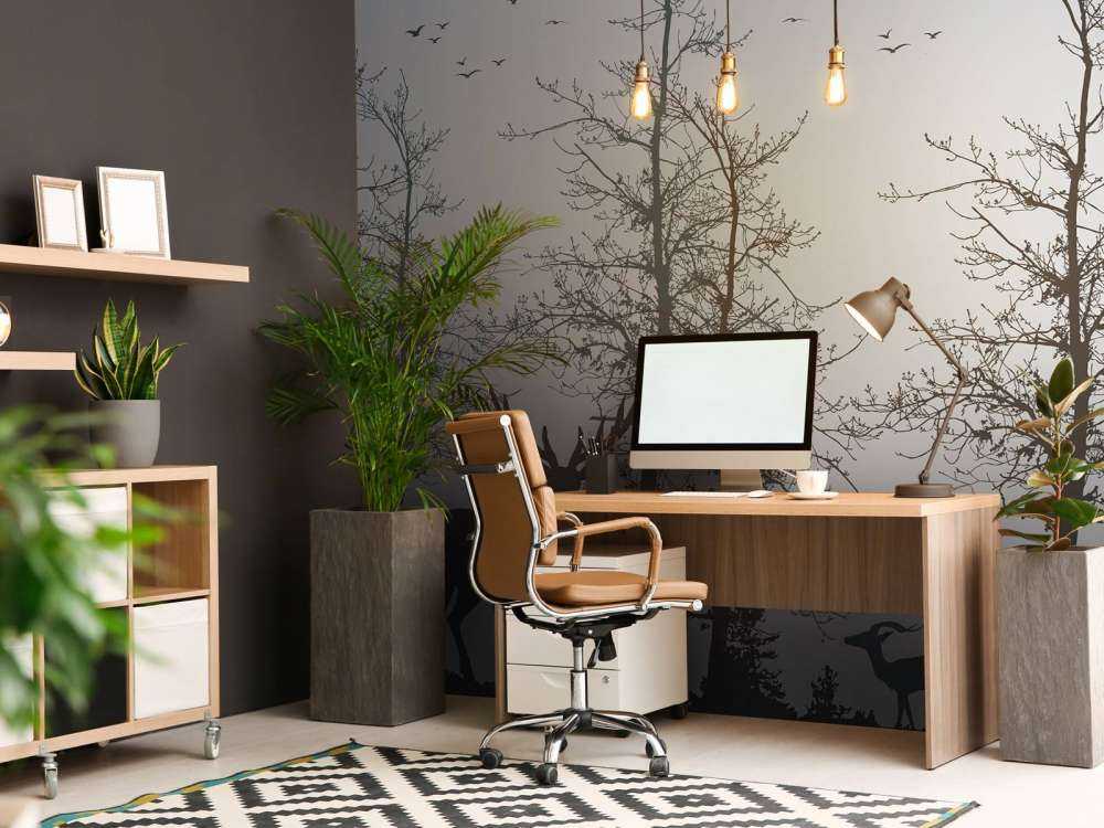 Winter Contour Forest Silence