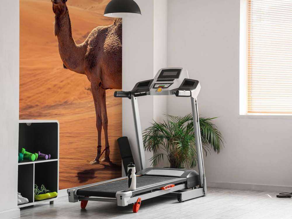 Off-road adventure in the desert