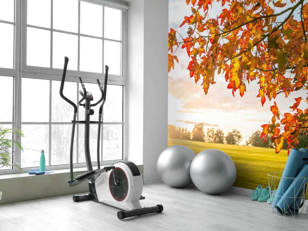 Autumn tree at sunset