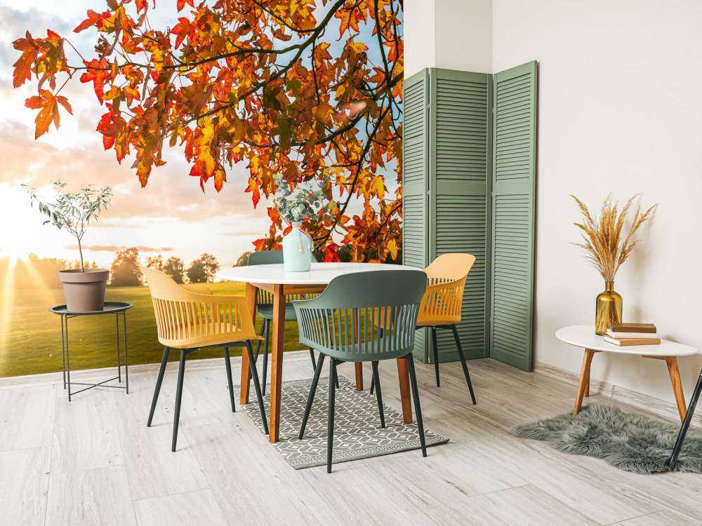 Autumn tree at sunset