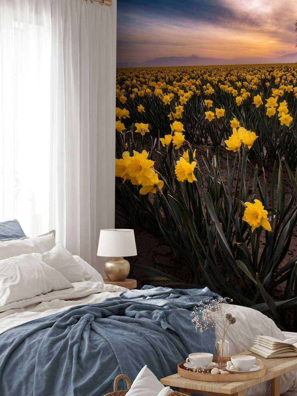 Field with daffodils