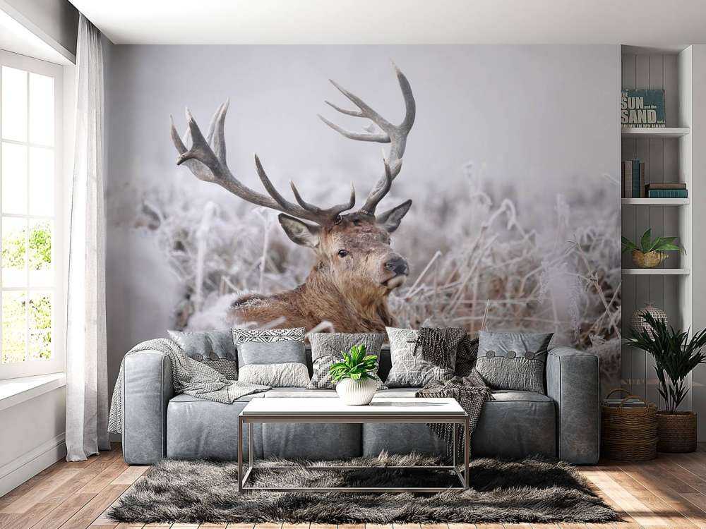 Red Deer's Winter Dream
