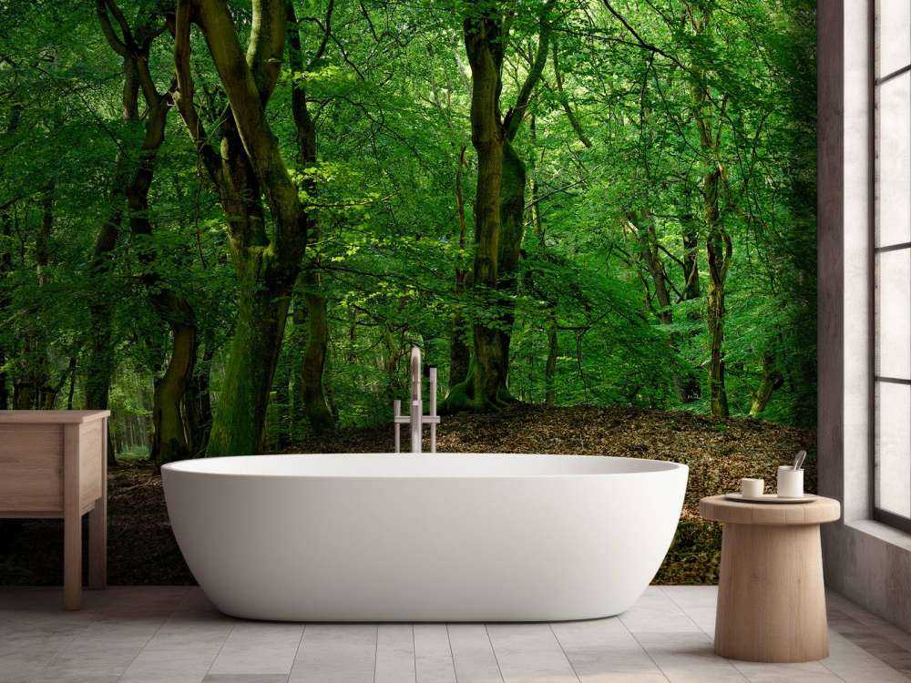 Trees with green leaves 