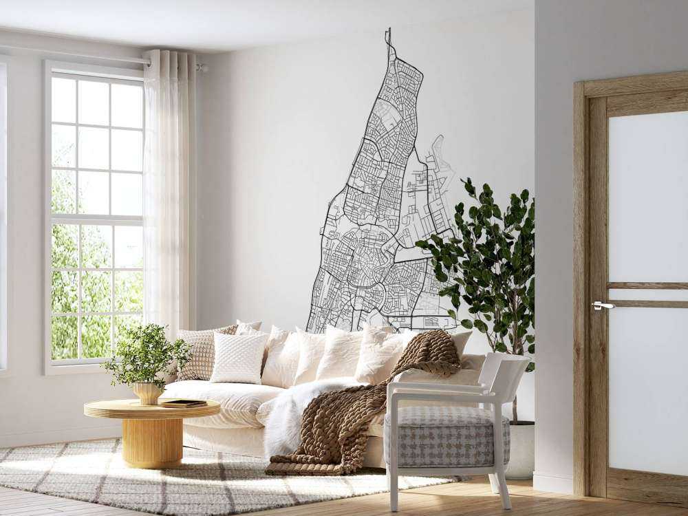 Map of Haarlem, white