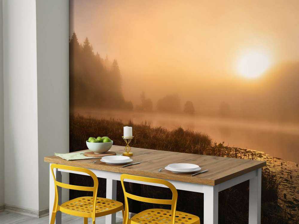 The incredible light of an October morning