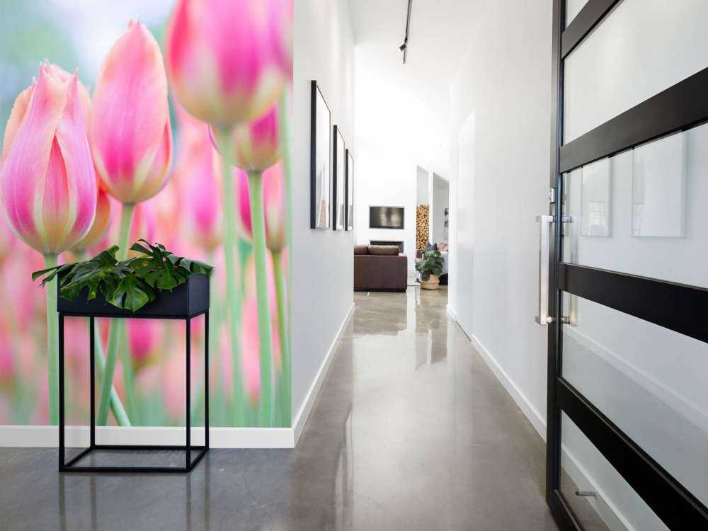 Close-up pink tulips