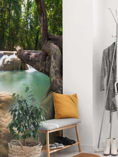 Waterfall in jungle