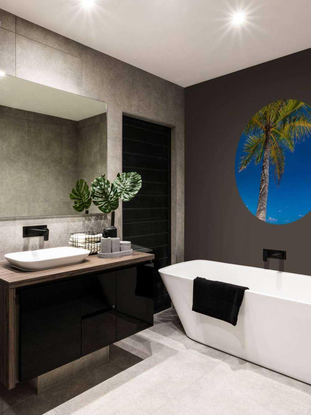 Palm tree in the maldives