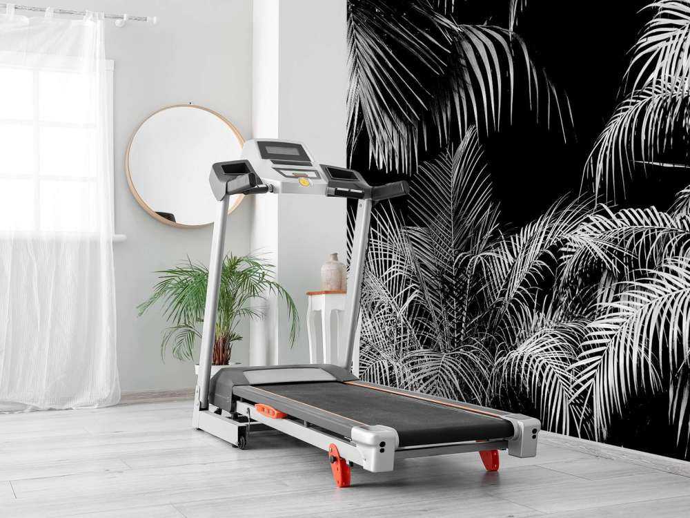 Plant with white leaves