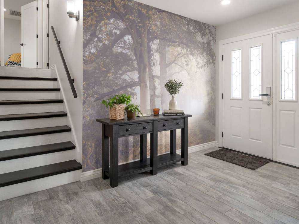 Misty road with trees