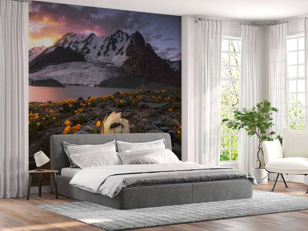 Morning at Saussurea