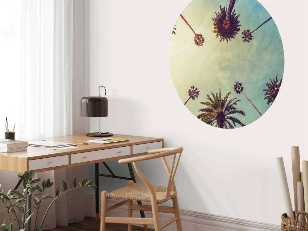 Bottom view of palm trees