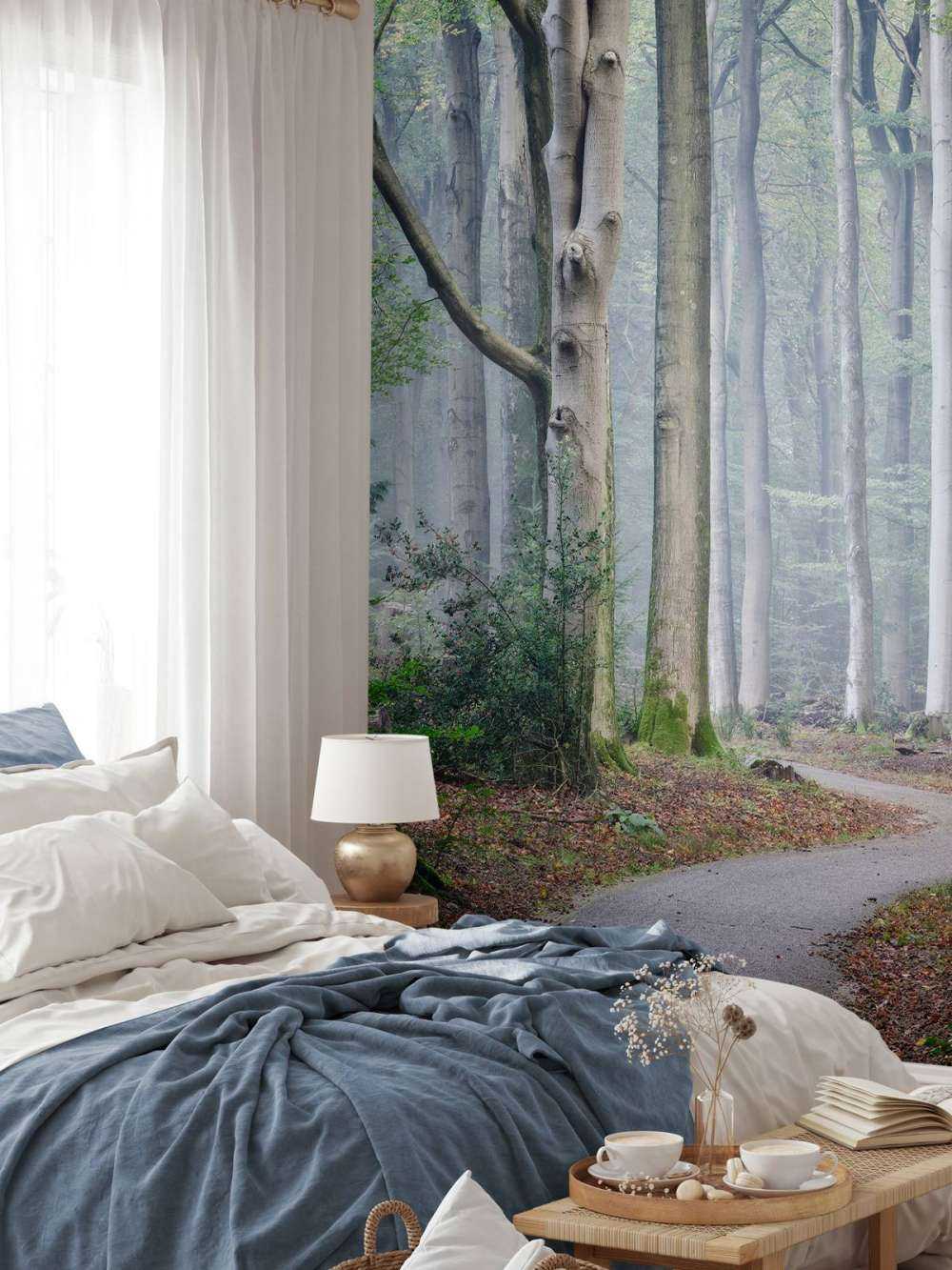 Path through the forest