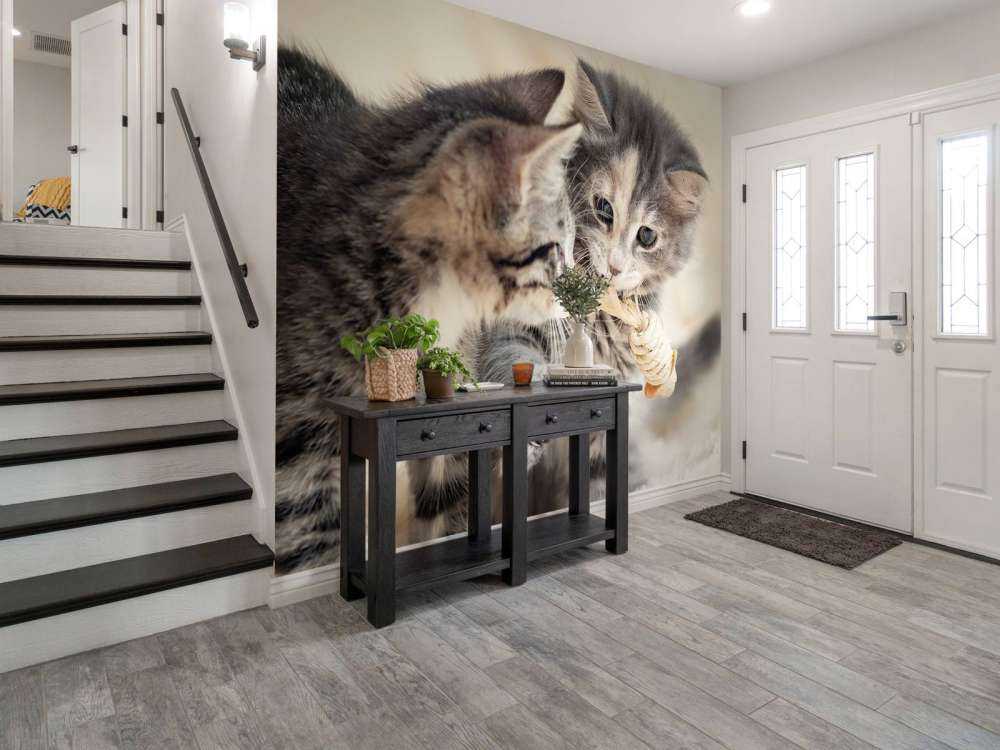 Playing kittens