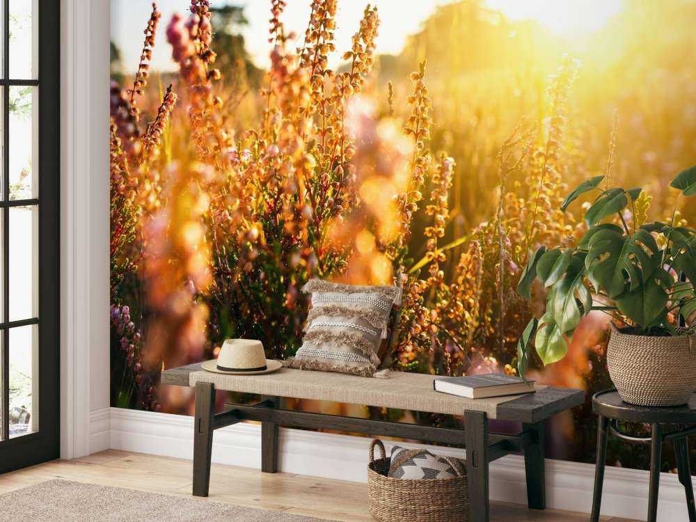 Close-up heather plant