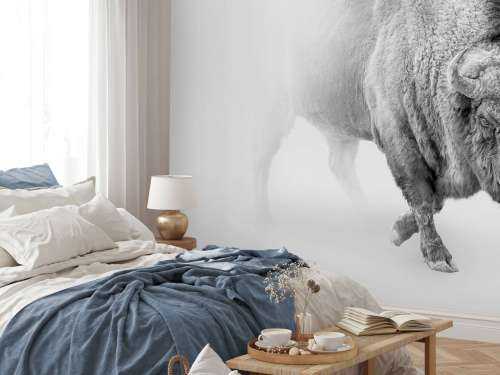 Bison black, white