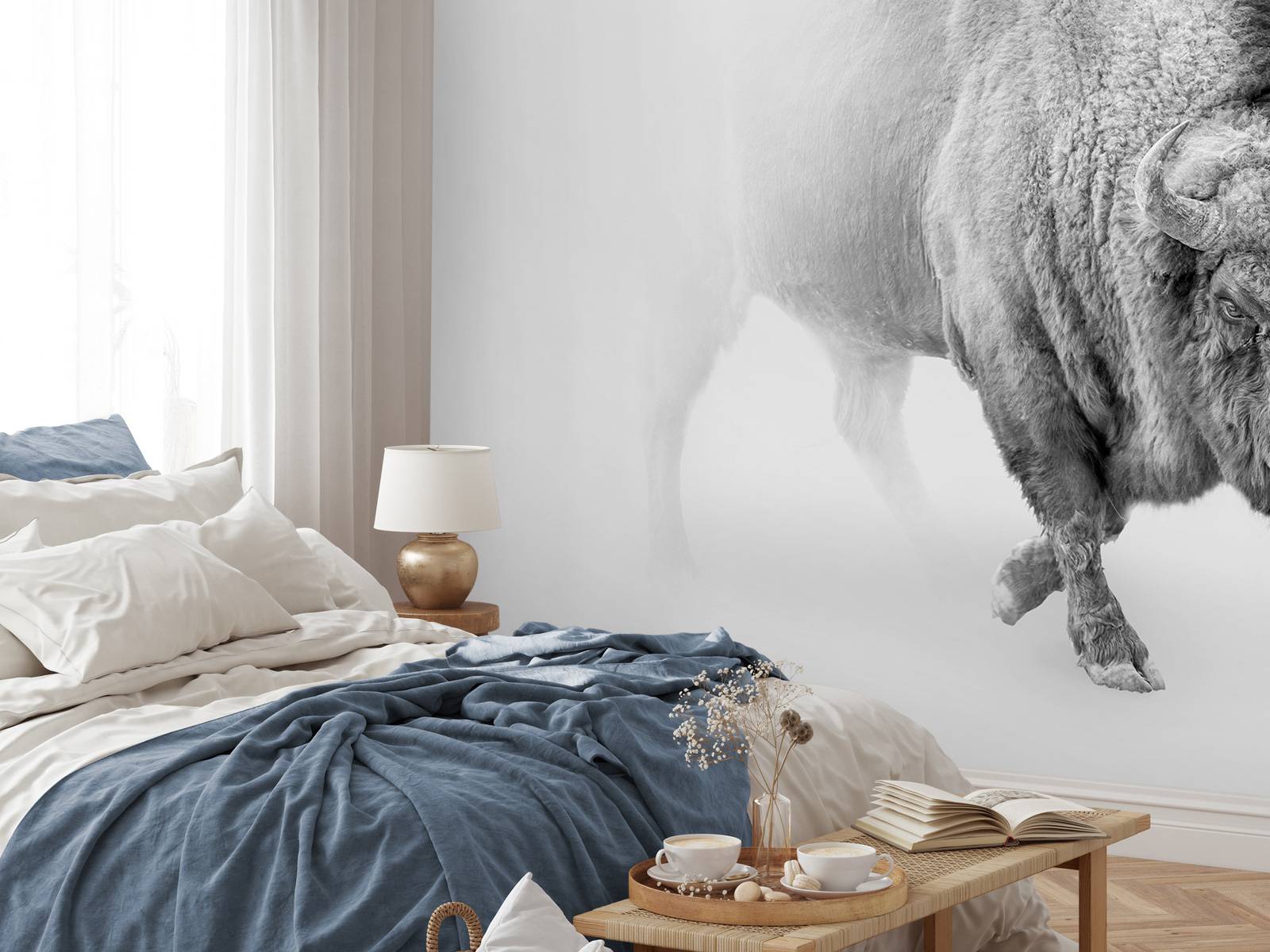 Bison black, white