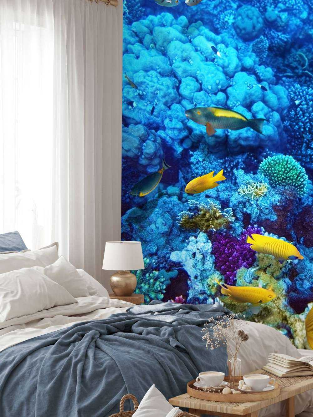 Fish and coral