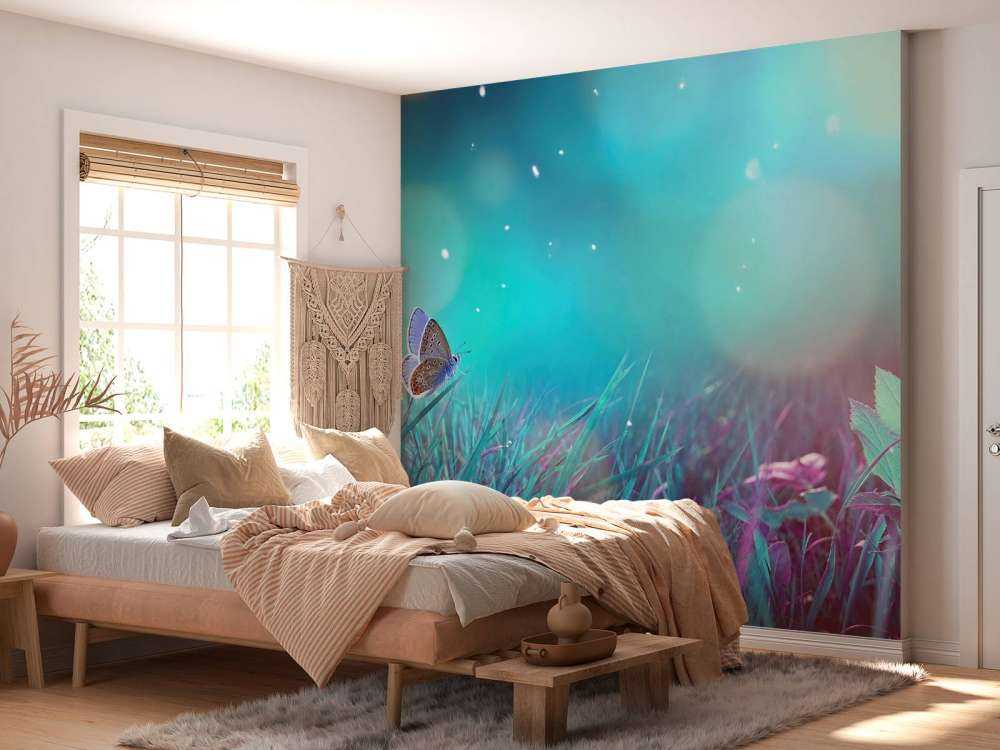 Butterfly in the morning dew