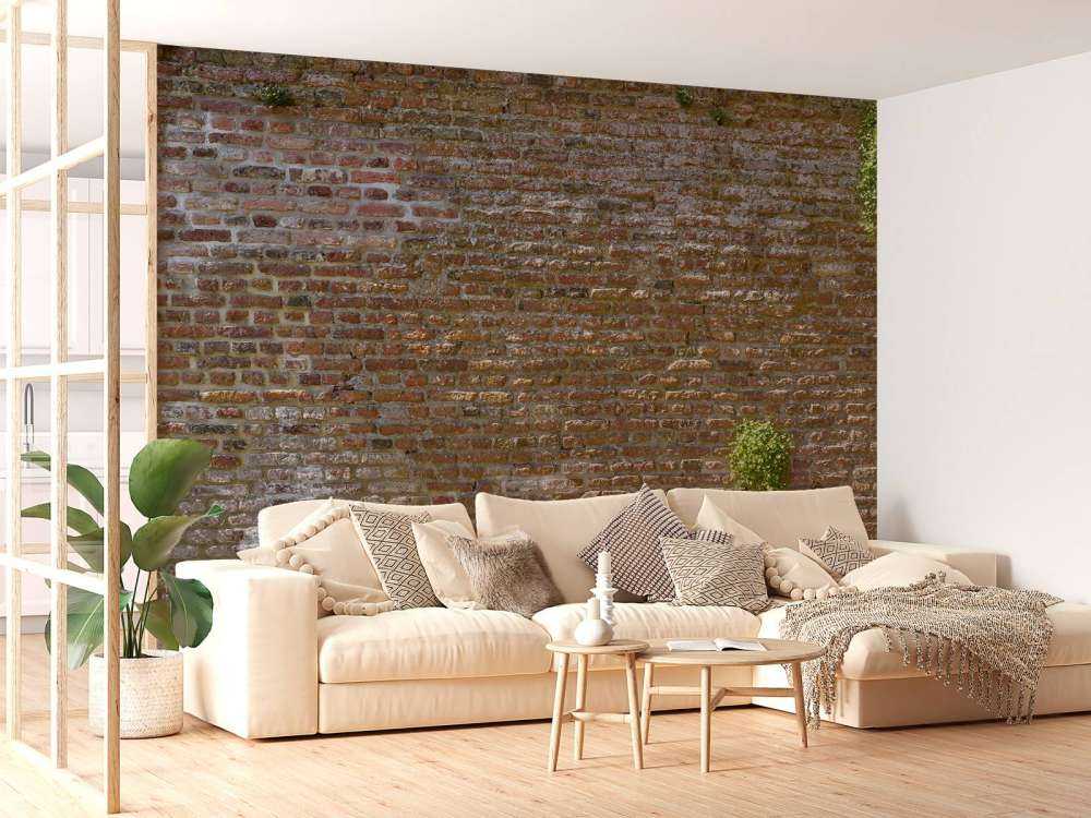 Old stone city wall with plants