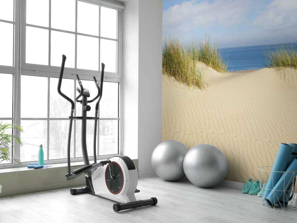 Dune passage to the beach