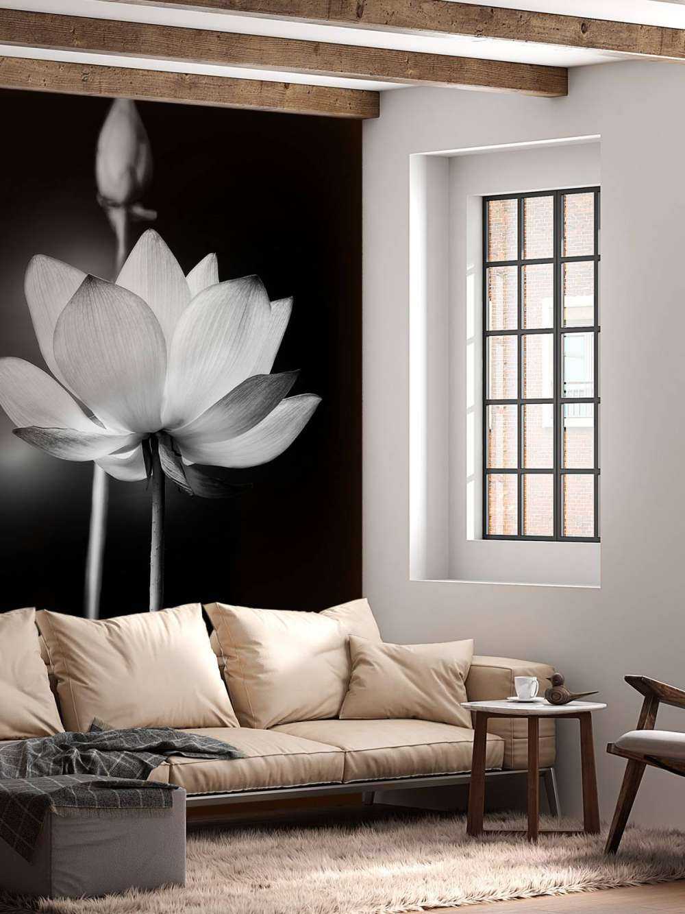 Lotus flowers black and white